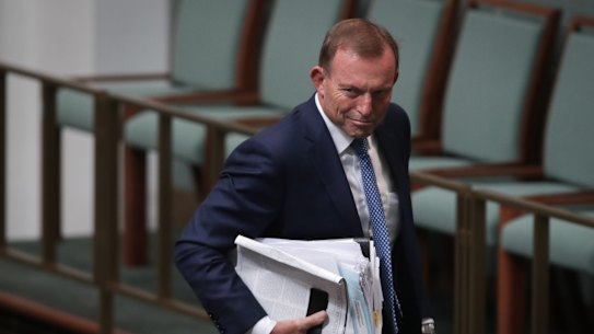 Ministers line up to criticise Abbott's 'absurd' immigration comments