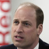 ‘Serious lapse of judgment’: William’s Gaza intervention raises eyebrows