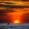 The exceptionally warm oceans are making heat waves worse, disrupting marine life and destroying coral reefs.