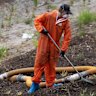 A worker removes mulch at Rozelle Parklands, which was closed in 2024 after asbestos was found in several areas.
