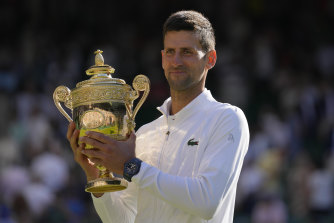 Like most great athletes, Novak Djokovic looked unshakable on his way to a seventh Wimbledon title.