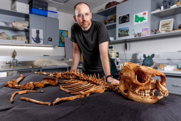 Paleontologist Tim Ziegler with an ancient short-faced kangaroo fossil discovered by a recreational caver.