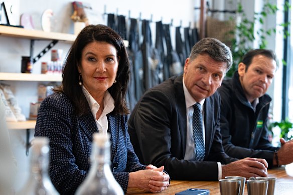 Deputy opposition leader Jane Hume, left, Opposition Leader Angus Taylor, centre, and Nationals leader Matt Canavan at a press conference in Melbourne earlier this week.