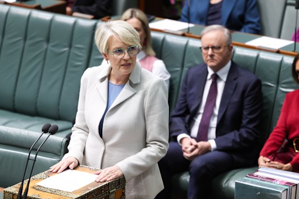 Minister for Social Services Tanya Plibersek says the polls are “obviously not great”.