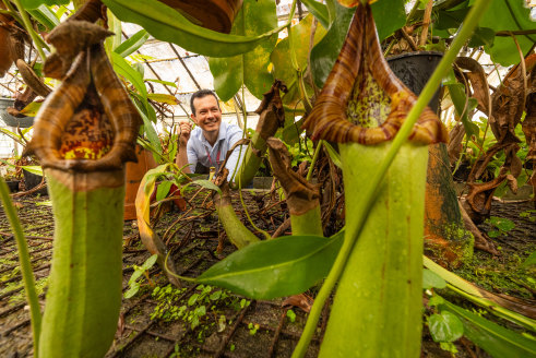 Botanist Dr Alastair Robinson at Melbourne’s Royal Botanic Gardens with Nepenthes truncata, a carnivorous species found in the Philippines. 