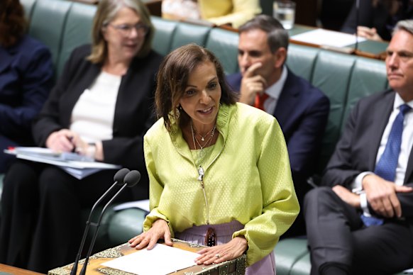 Small Business Minister Anne Aly during question time on Monday.