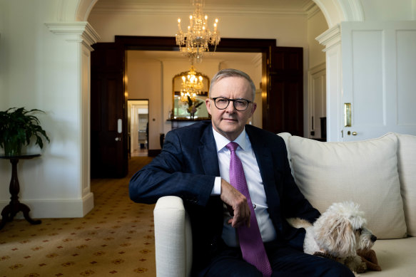 Anthony Albanese, with constant companion Toto the cavoodle, nominates resetting Australia’s position internationally as his proudest achievement this year.