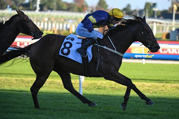 War Machine wins at Caulfield in May.