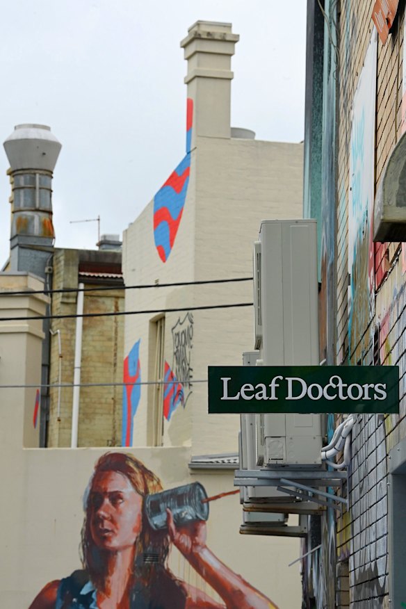 Placa 'Leaf Doctor' na parte traseira do dispensário de saúde True Green localizado na King Street em Newtown, Nova Gales do Sul.