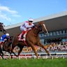 The Queensland governemnt has launched a review into the state’s horse and greyhound racing, promising to ensure both the industry’s future and high standards of animal welfare.