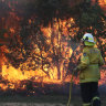 Fires burnt for weeks in the regions around Grafton.