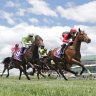 Race-by-race preview and tips for Newcastle on Monday