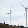 NSW best state in Australia for renewable energy, report finds