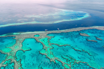 Senior members of the federal government are at odds over their support for state laws that require farmers to reduce water pollution for the Barrier Reef. 