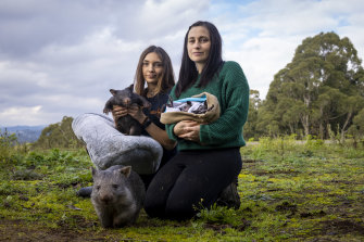 Wildlife carers Nicola Rae and Nell Pedzik with some wombat and swamp wallaby joeys rescued after the wild storm last month.
