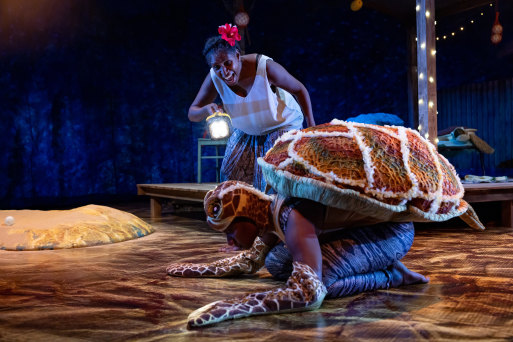 The style of presentation is hopeful in a beautiful production: Elma Kris and Aba Bero in <i>Waru - Journey of the Small Turtle.