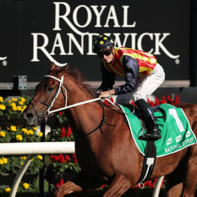 James McDonald sits up as Nature Strip in the TJ Smith Stakes at Randwick in April.