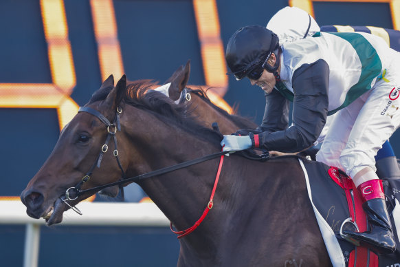 Craig Williams breaks out in a grin as Mr Brightside wins the Doncaster Mile. The blue and yellow ribbons can be seen on his hip.