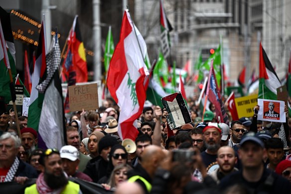 Protesters participate in a pro Palestinian rally in Sydney on Sunday.