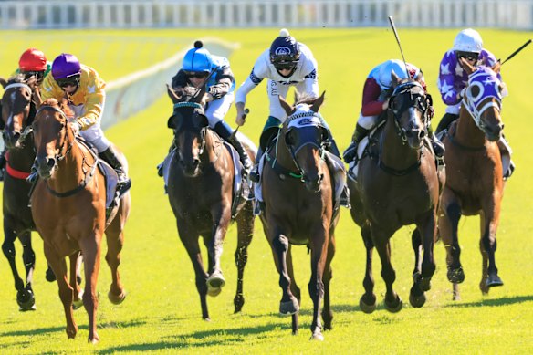 Robbie Dolan rides high in the irons as he drives Spirit Ridge to the line in the January Cup.