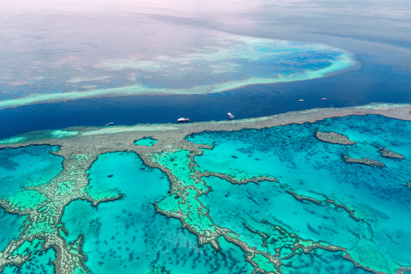 Senior members of the federal government are at odds over their support for state laws that require farmers to reduce water pollution for the Barrier Reef. 