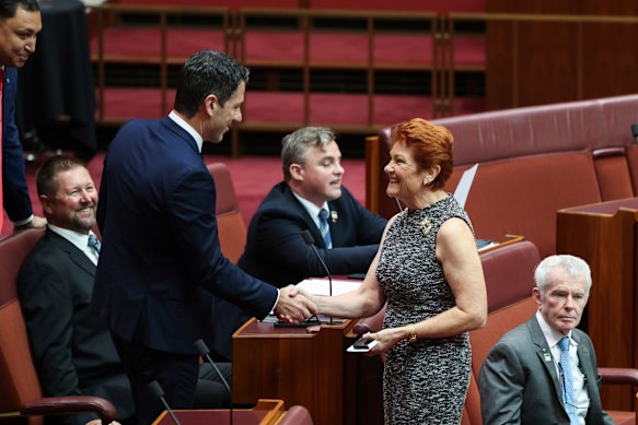 Senator Alex Antic shakes hands with One Nation leader Senator Pauline Hanson in the Senate at Parliament House in Canberra in March.