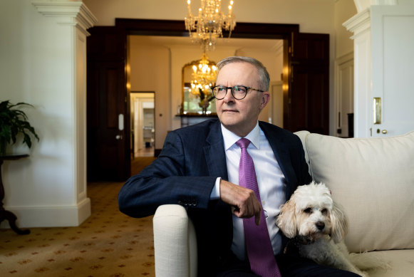 If I can get Albo to focus on something serious for even a moment, the least he could do is to fix up that horrible greyhound export thing.