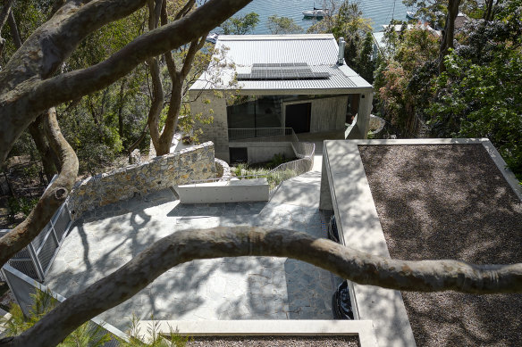 The garden at KL House by architects Rosevear Stephenson in Sydney’s north  by landscape architects Sue Barnsley Design around the existing angophora trees. The new home is shortlisted in the Residential Architecture Houses (new) category of the 2023 Australian Institute of Architects NSW Architecture Awards.