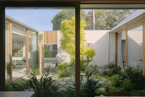 The contemporary Albert Park home designed by Clare Cousins Architects.