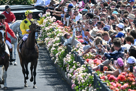 Jockey Mark Zahra celebrates on Without A Fight after winning last year’s Melbourne Cup.