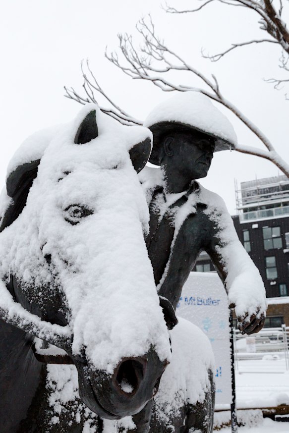 The man from snowy Buller.