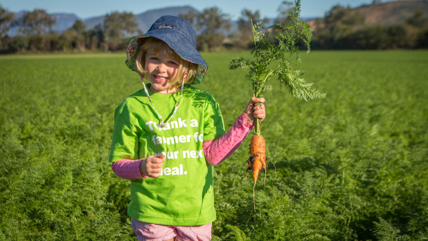 Australia is facing its largest carrot oversupply in 25 years.