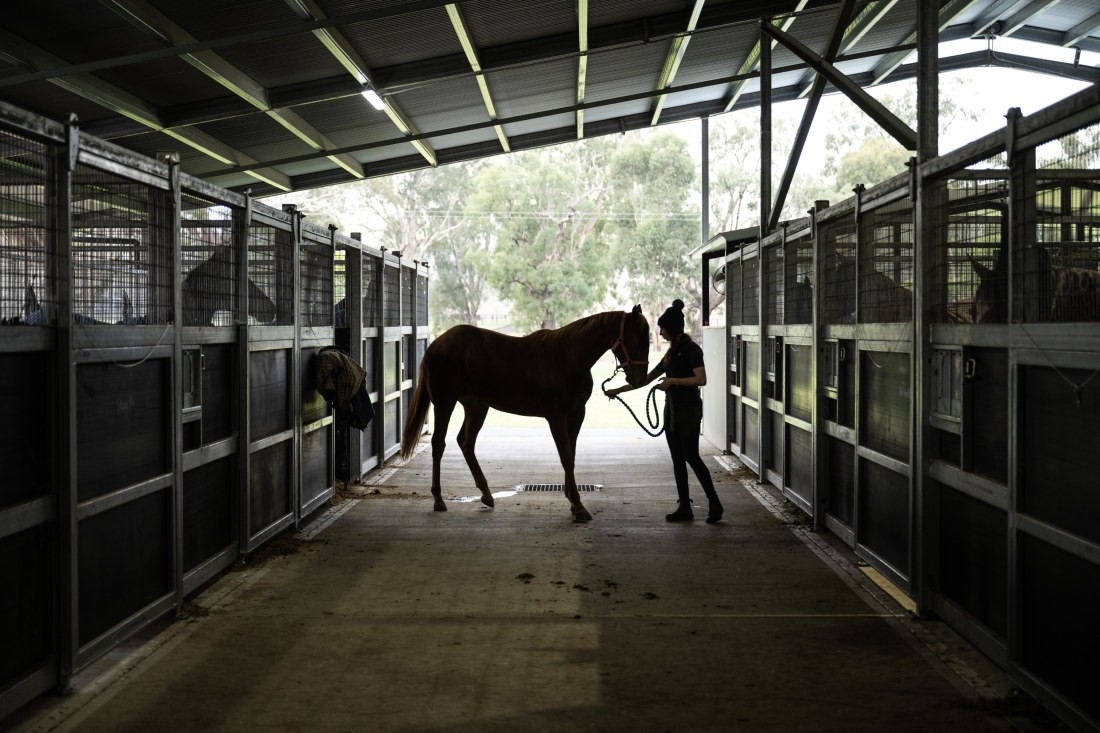 Review Kitchwin Hills thoroughbred stud opens The Barn Scone luxury