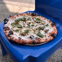 Lemon kosho ricotta, marinated zucchini, basil, ricotta salata, pepita and charred spring garlic salsa and olive oil.