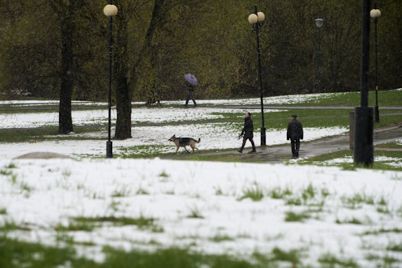 People walk in a deserted park after snowfall, which is unusual for spring time, in Moscow, Russia.