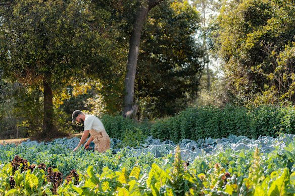 The Falls Farm in Mapleton.