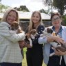 Local Government Minister Hannah Beazley, Dogs’ Refuge Home general manager Robyn Slater and Member for Maylands Lisa Baker MLA. 