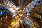 The ceiling at the Basilica of the Sagrada Familia.
