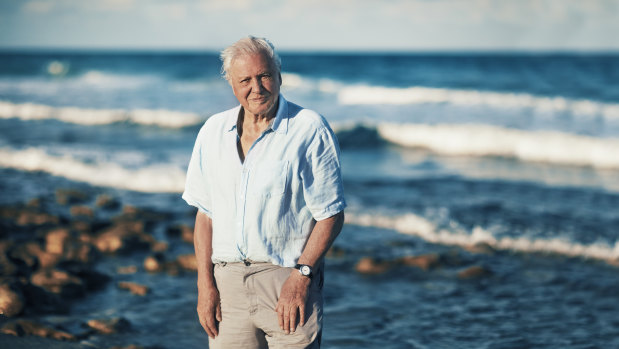 The voice of nature: David Attenborough.