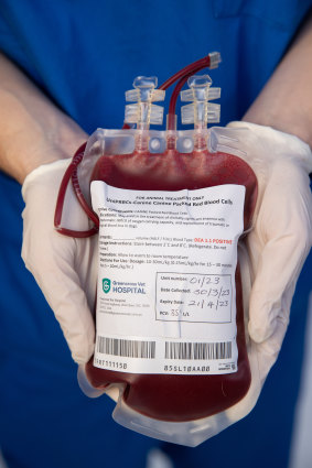 A bag of donated blood. 