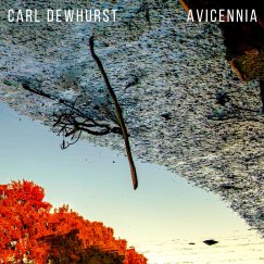 Slinky and complex: Carl Dewhurst’s Avicennia.