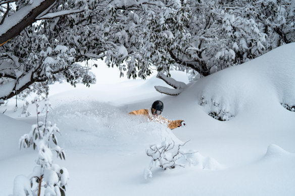 Snowfall at Falls Creek in the lead-up to opening weekend.