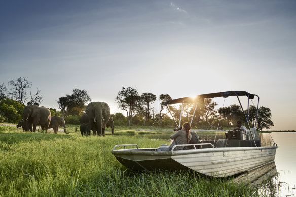 On safari: wildlife converge by the river banks.