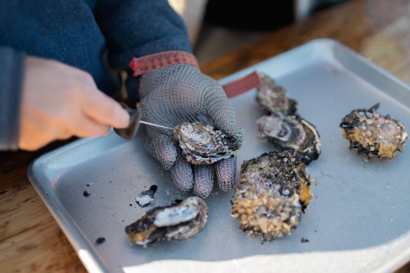 Shucked and eaten – the freshest of oysters at Melshell.
