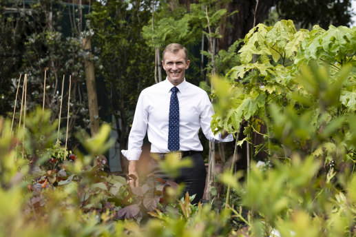 Planning Minister Rob Stokes, pictured at Randwick City Council Nursery, says boosting the city's tree canopy will help lower heat, provide shade and improve neighbourhoods.