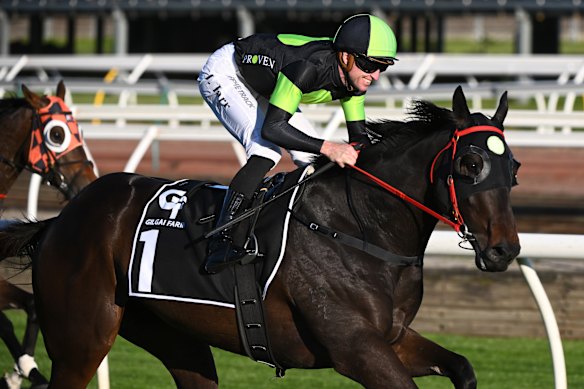 Race-by-race preview and tips for Randwick on Saturday