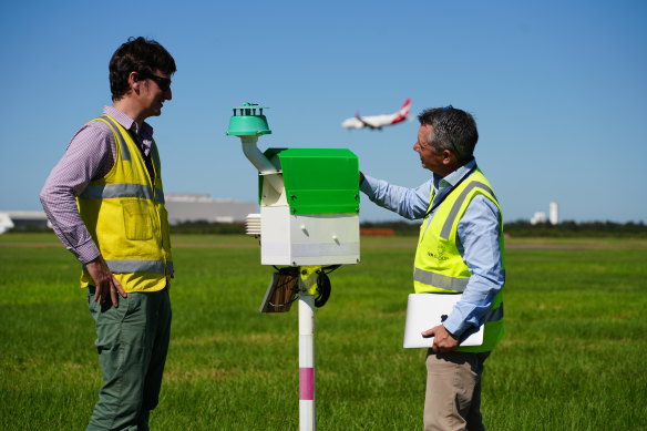 Brisbane Airport technicians inspect a wasp trap, designed to detect infestations.