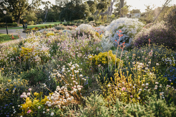 Kings Park comes alive in spring.