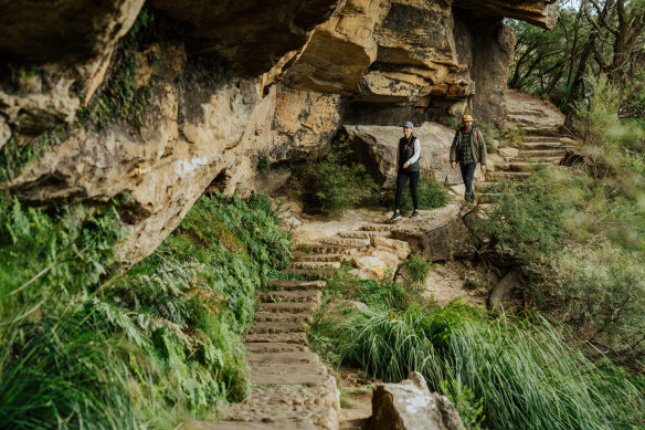 The Overcliff-Undercliff Track.