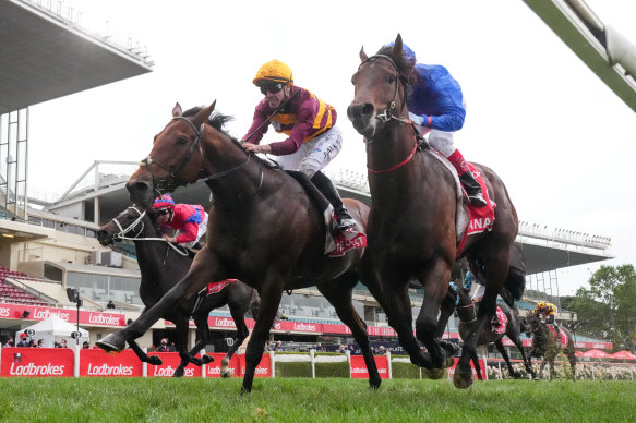 State Of Rest (left) wins the Cox Plate from Anamoe before a lengthy protest.